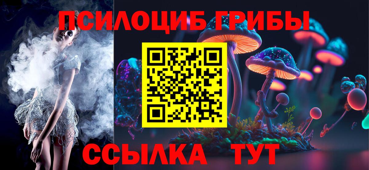 Ачхой-Мартан  Галлюциногенные грибы Magic Shrooms  Вход с VPN 