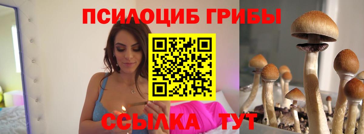 Псилоцибиновые грибы прущие грибы Ачхой-Мартан